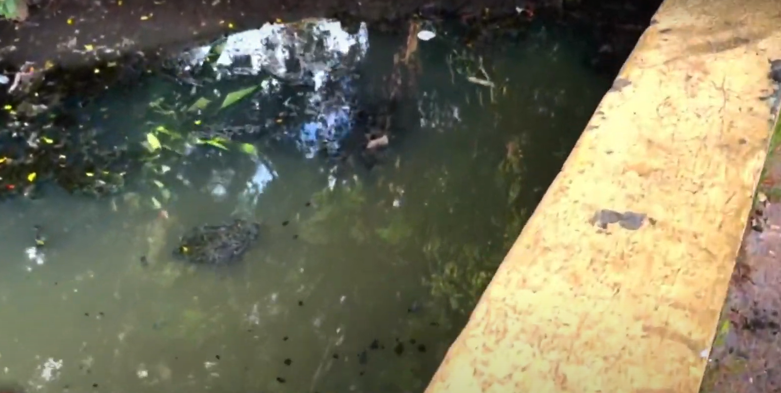 Idoso morre ao cair em canal na Suburbana. Foto: reprodução