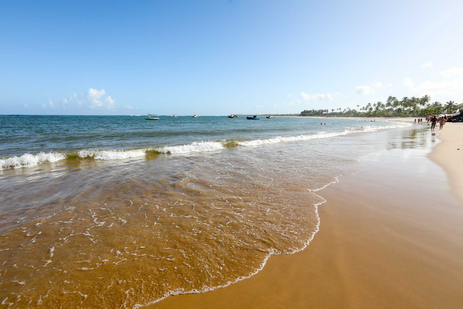 Operação limpeza: Guarajuba realiza ação ambiental em suas praias. Foto: divulgação